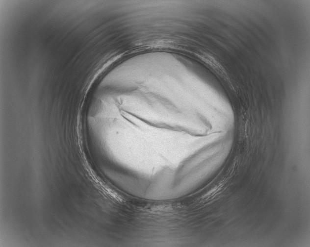 X0000054360798200508191818
