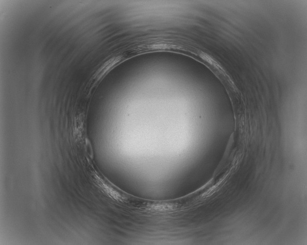 X0000054360801200508191818