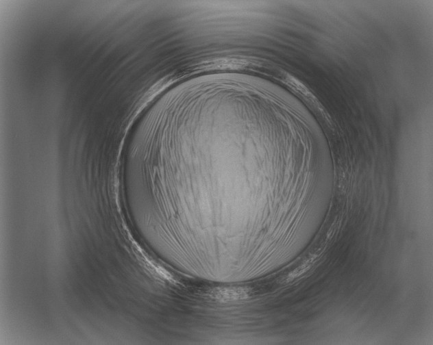 X0000054360802200508191818