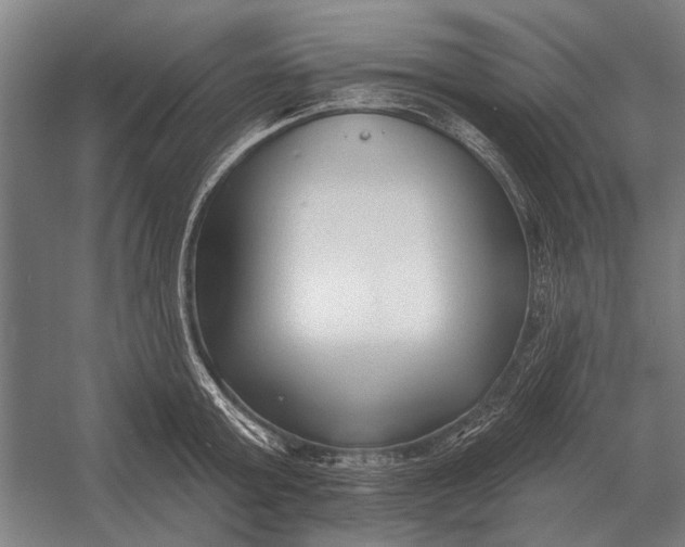 X0000054360803200508191818