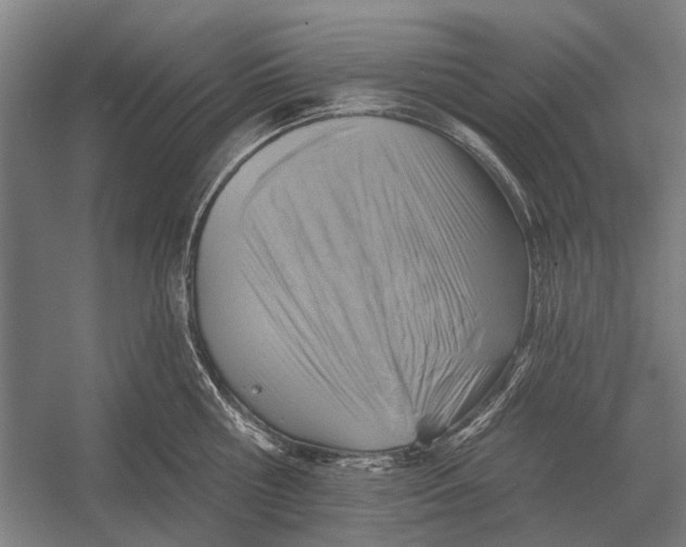 X0000054360810200508191818