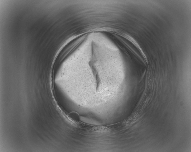 X0000054360811200508191818
