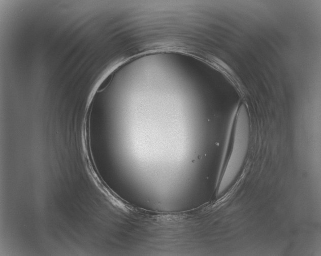 X0000054360812200508191818