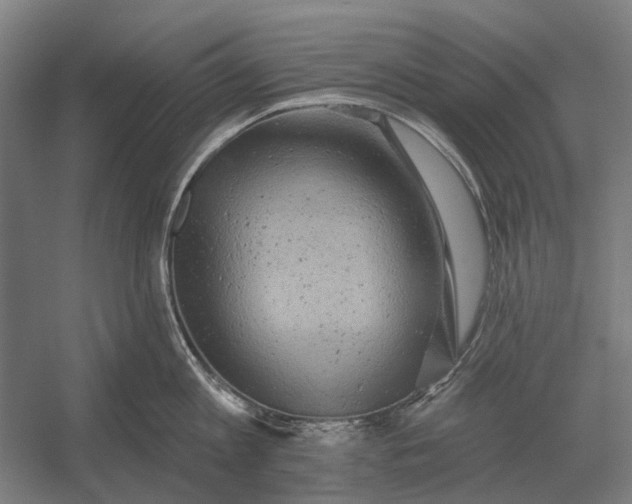 X0000054360813200508191818