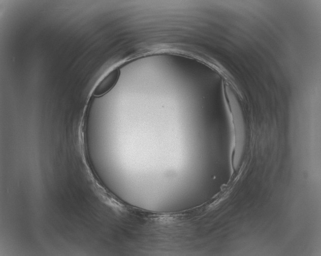 X0000054360814200508191818