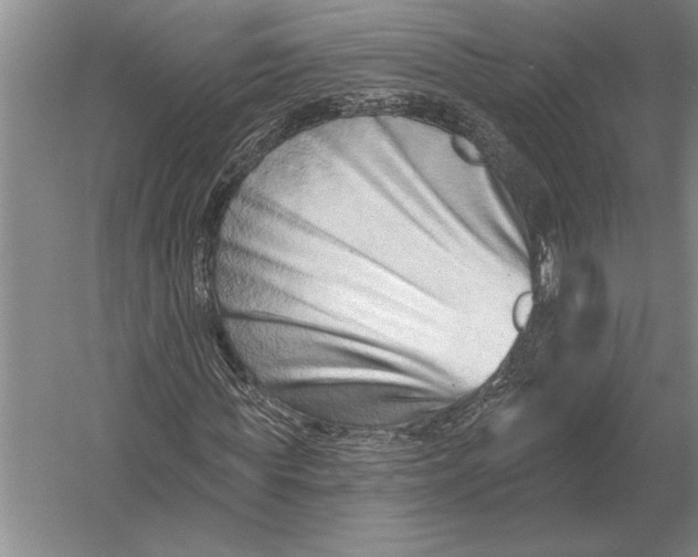 X0000054360819200508191817