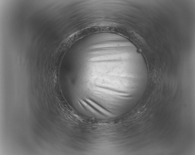 X0000054360821200508191817