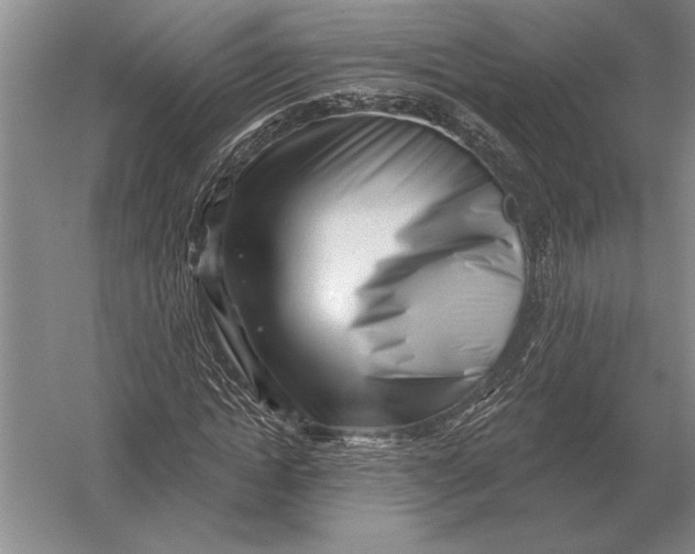 X0000054360822200508191817