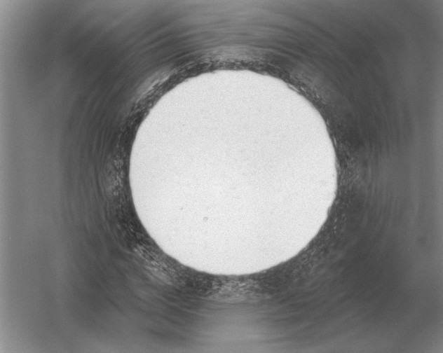 X0000054360824200508191817