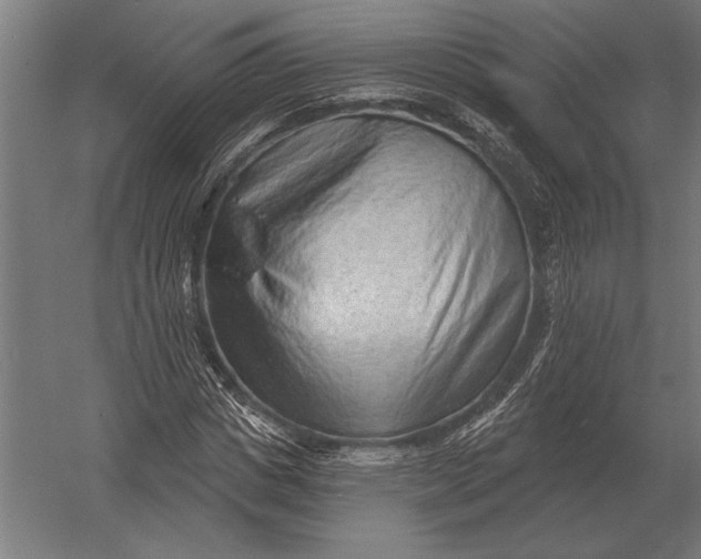 X0000054360825200508191817