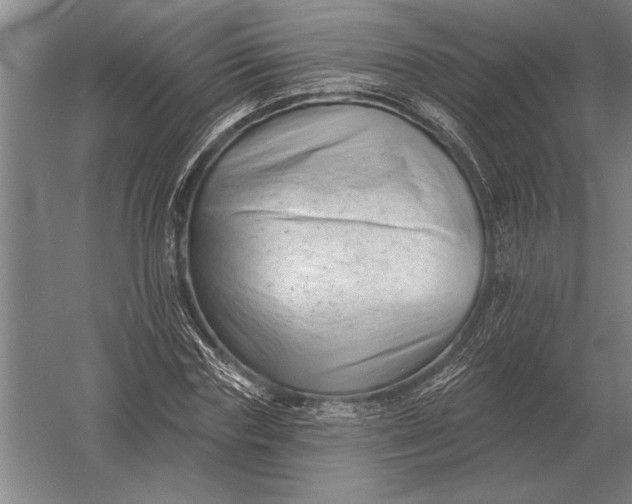 X0000054360827200508191817