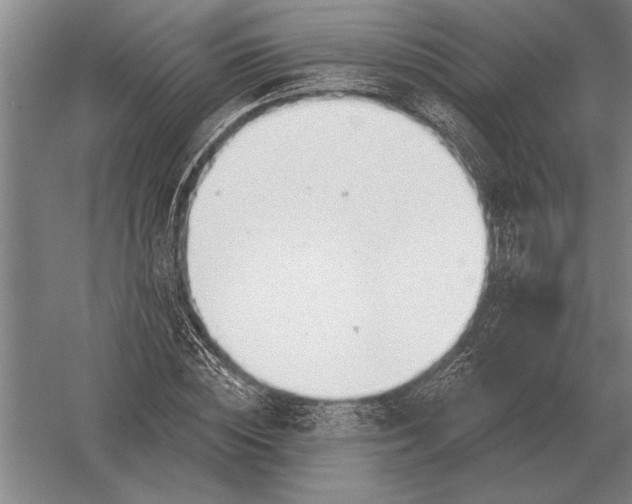 X0000054360828200508191817