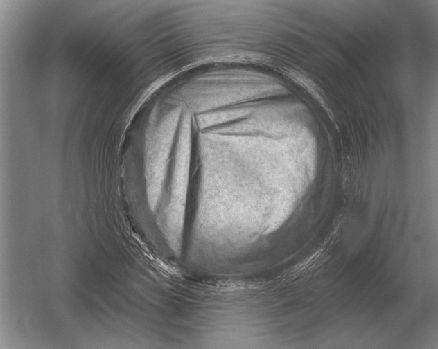 X0000054360829200508191817