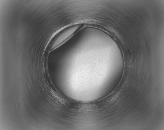 X0000054360830200508191817
