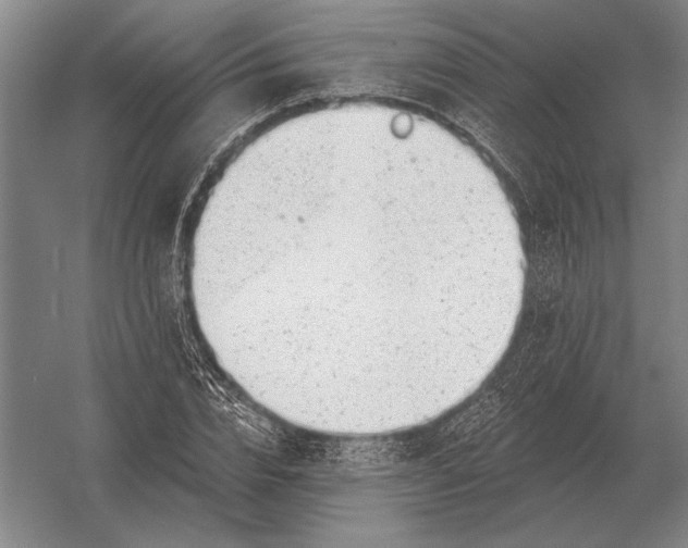 X0000054360832200508191817