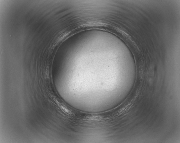 X0000054360833200508191817