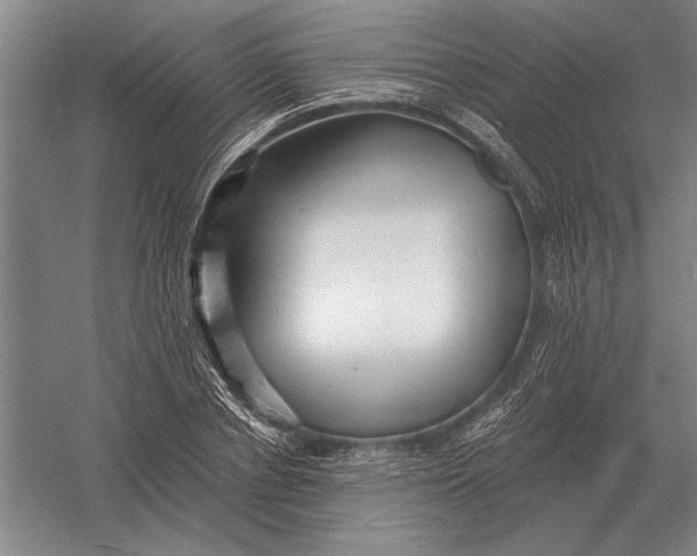 X0000054360834200508191817