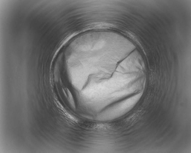 X0000054360835200508191817