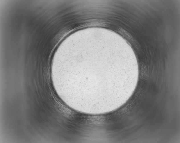 X0000054360836200508191817