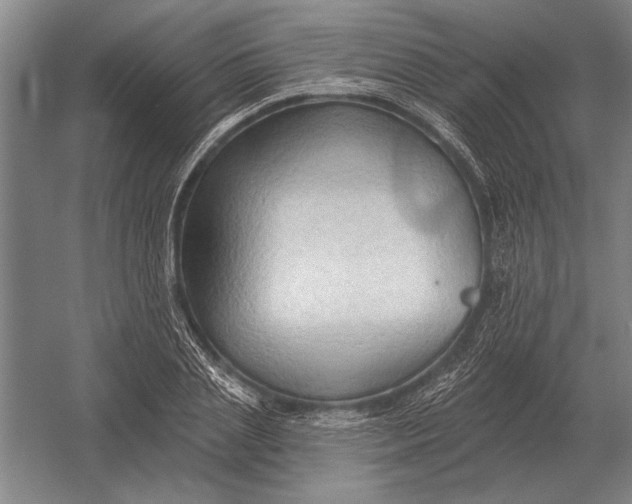 X0000054360837200508191817