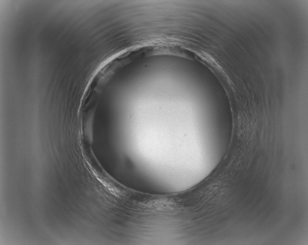X0000054360838200508191817