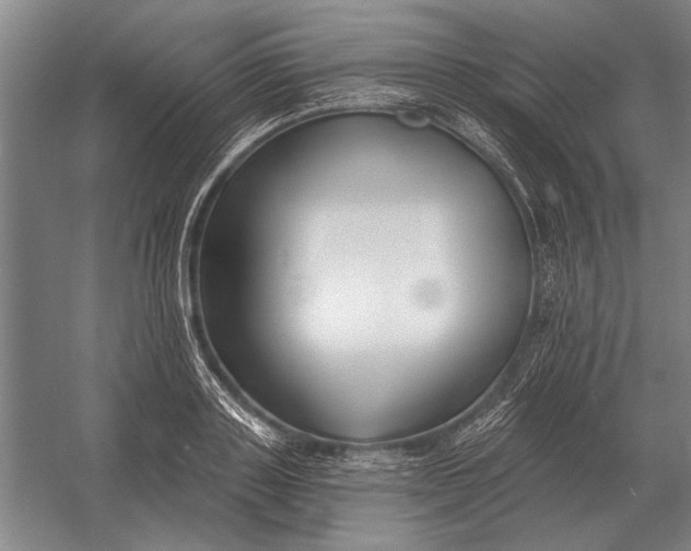 X0000054360843200508191817
