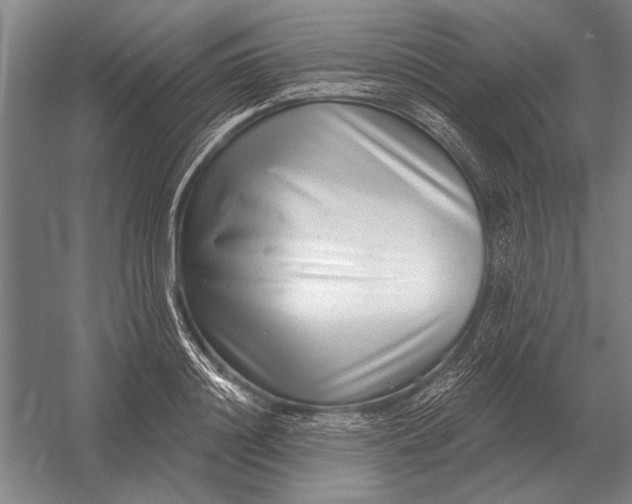 X0000054360844200508191817