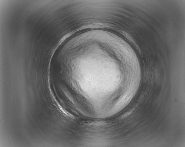 X0000054360845200508191817