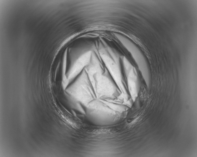 X0000054360846200508191817