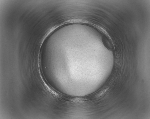 X0000054360847200508191817