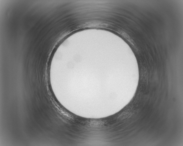 X0000054360848200508191817