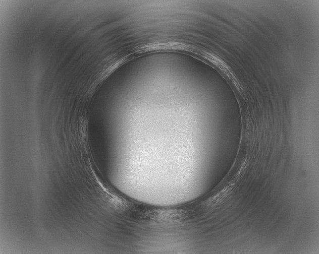 X0000054360849200508191817