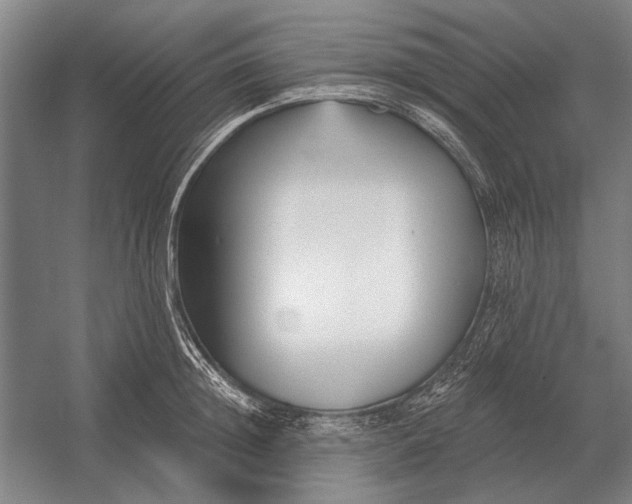 X0000054360852200508191817