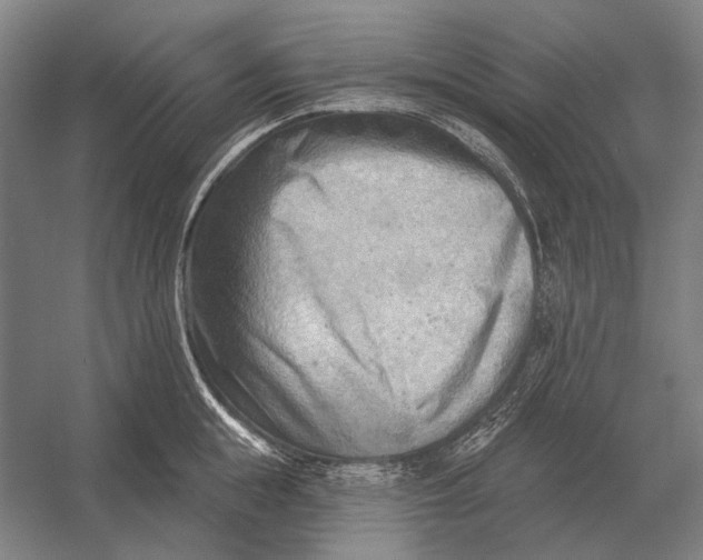 X0000054360855200508191818