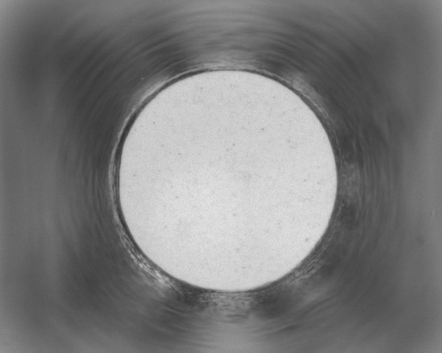 X0000054360856200508191818
