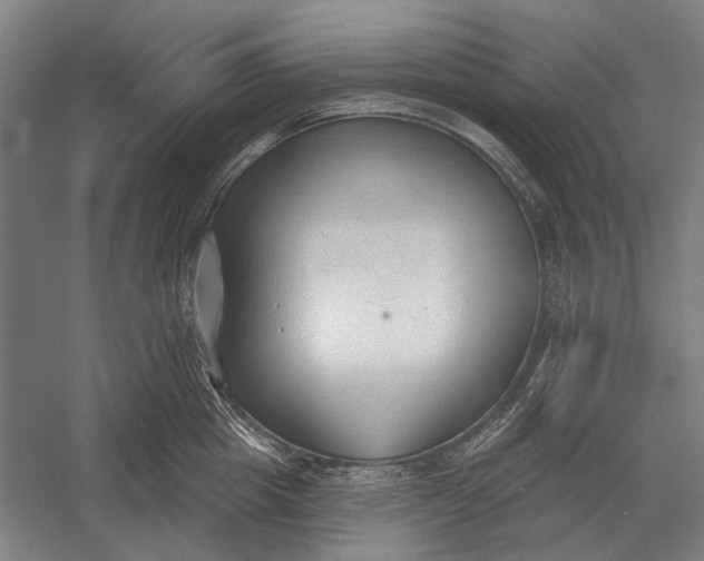 X0000054360857200508191818