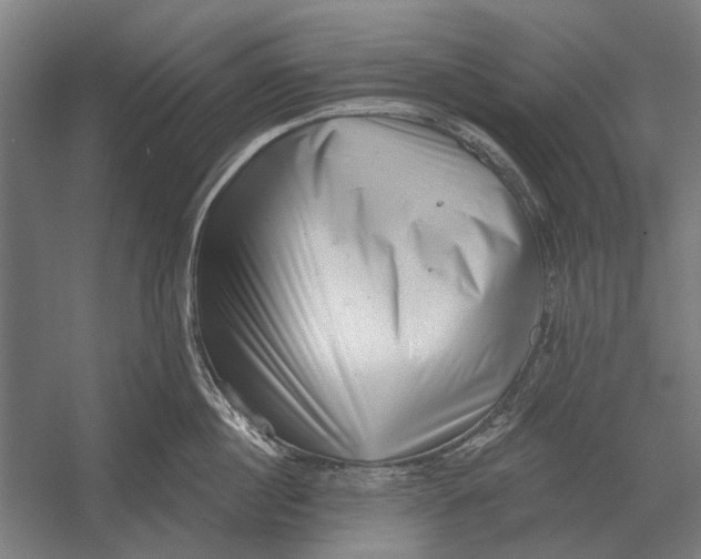 X0000054360860200508191818