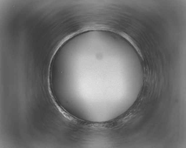 X0000054360861200508191818