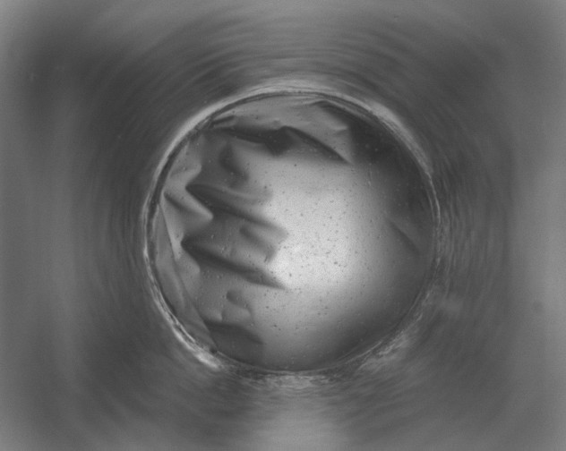 X0000054360862200508191818