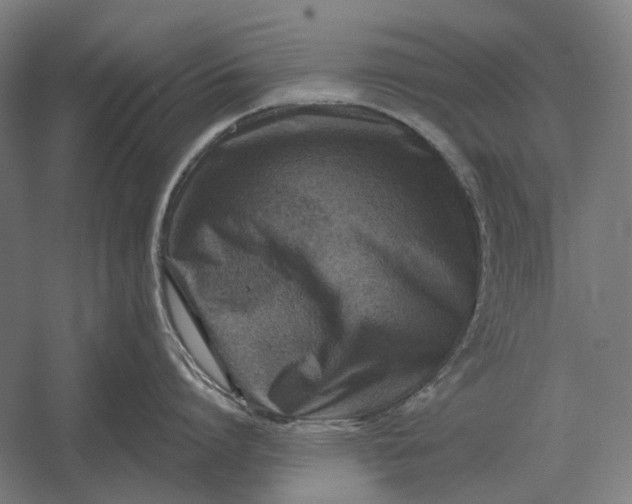 X0000054360864200508191818