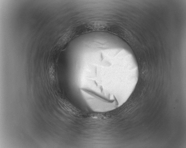 X0000054360866200508191817