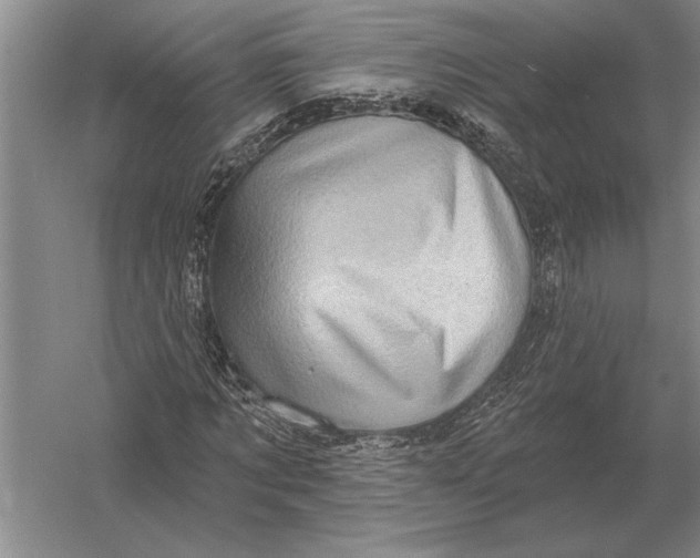 X0000054360869200508191817