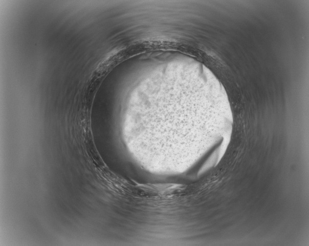 X0000054360870200508191817