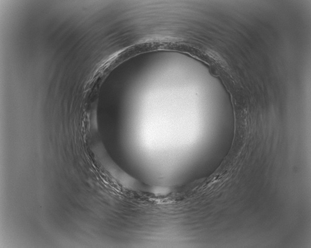 X0000054360872200508191817