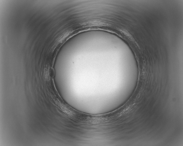 X0000054360873200508191817