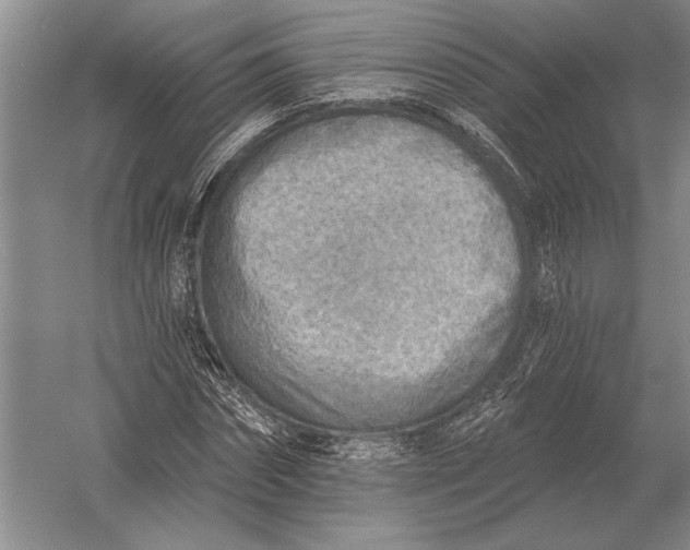 X0000054360874200508191817