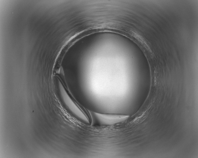 X0000054360876200508191817