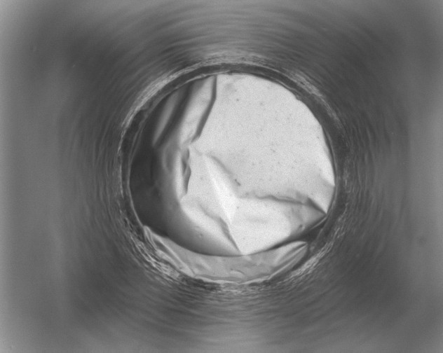 X0000054360877200508191817