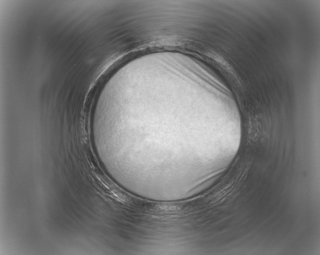 X0000054360878200508191817