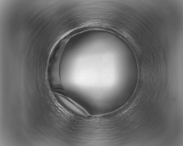 X0000054360880200508191817